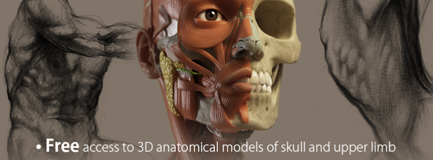 3D Anatomy for the Artist Mod apk (Unlocked)