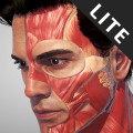 Action Anatomy Lite Mod apk